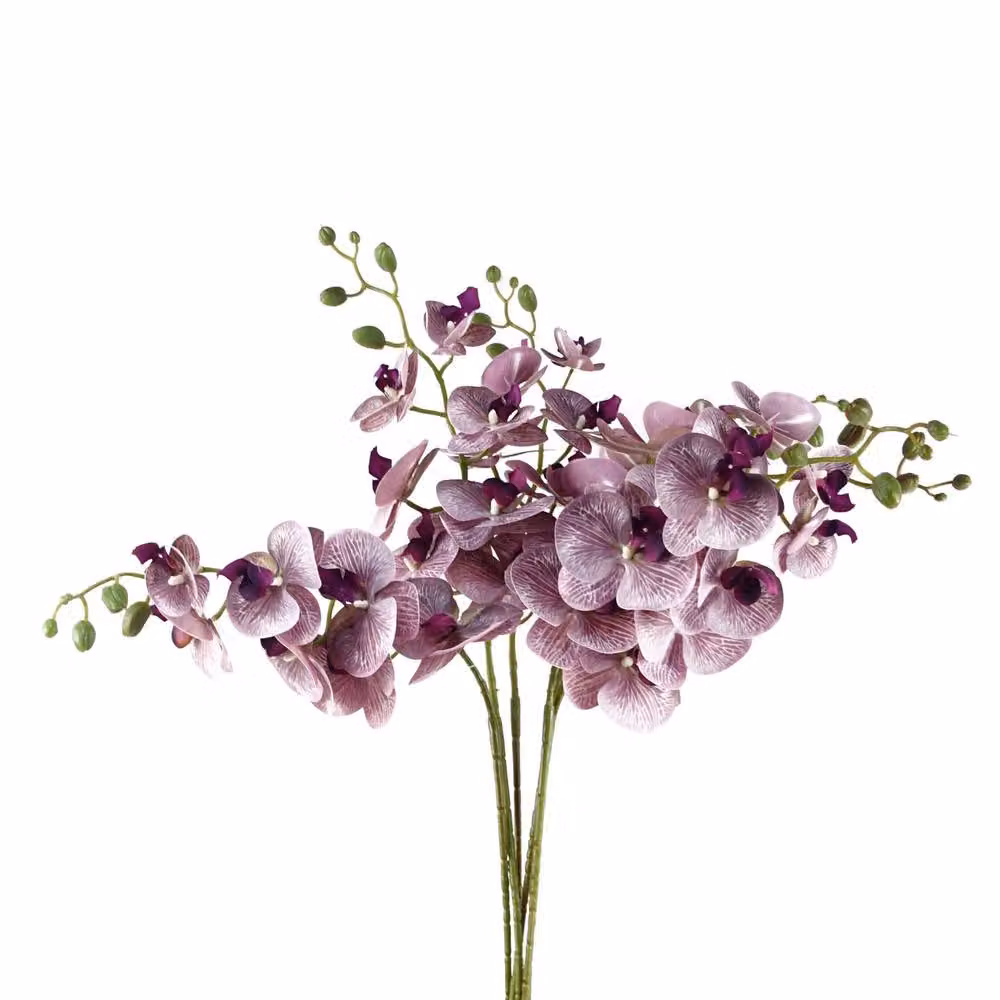 Botanik Leaf Purple Phalaenopsis Orchid Artificial Stem Flowers, Pack of 6, Height: 100 cm – 2