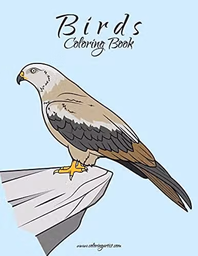 Birds Colouring Book 1: Volume 1 by Createspace, Multicolour
