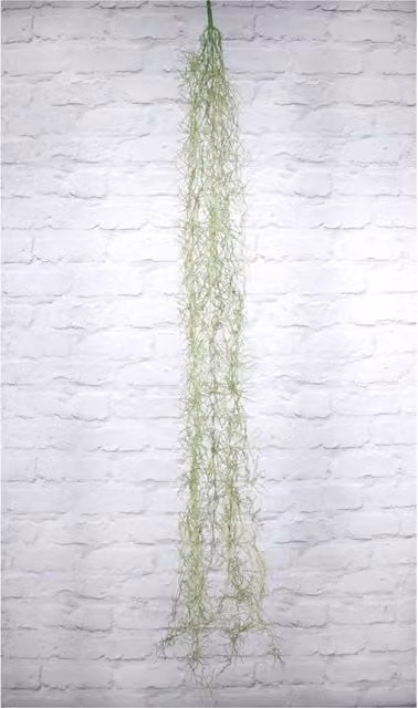 KDMD Artificial Hanging Tilandsia Plant in Green