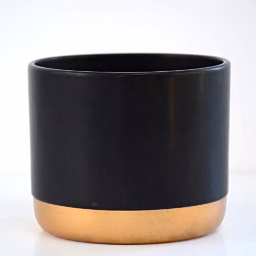 Thompson & Morgan Small Round Ceramic Plant Pot in Black and Gold