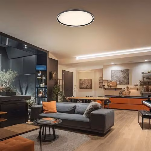 Globo Lighting Round LED Ceiling Light in Grey and White with Remote Control and Dimming Function, Diameter: 40 cm – 3