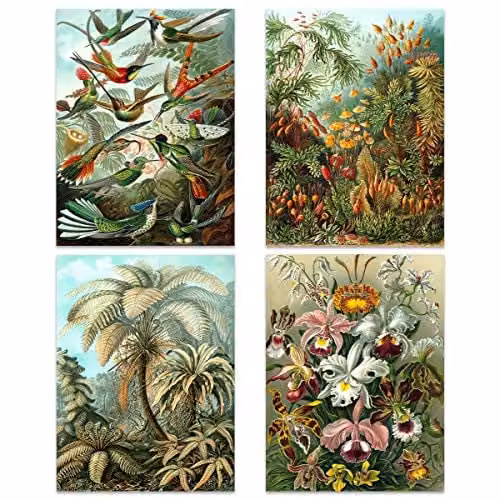 Artery8 Ernst Haeckel Kunstformen Der Natur Nature Vintage Birds Flora Fauna Biology Art Print Poster Pack of 4, Multicolour – 2