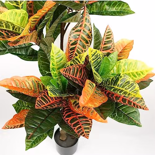 Leaf Artificial Codiaeum Multicoloured House Plant in Black Pot, H 140 cm x W 70 cm x D 70 cm – 3