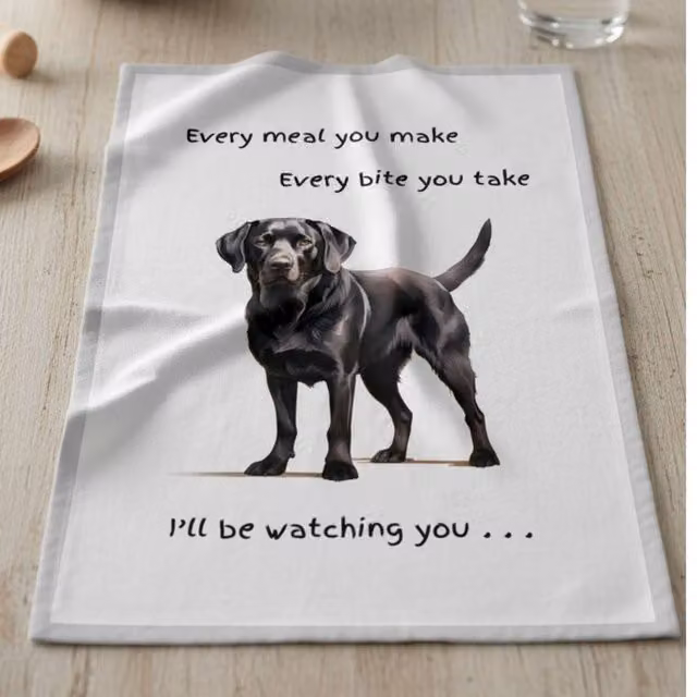 Animal Crackers Black Labrador Funny Watching You Cotton Tea Towel, White and Grey, 66 cm – 1