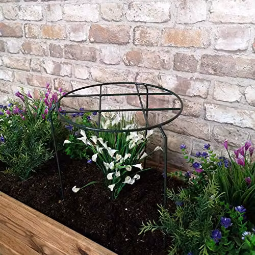 Samuel ALEXANDER Pack of 3 Green Metal Herbaceous Garden Plant Supports, W/D/H: 50 x 30 x 30 cm – 2