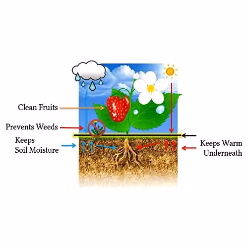 SolaDirect Black Woven Weed Control Membrane with 20 Pegs, 2 x 2 m – 3