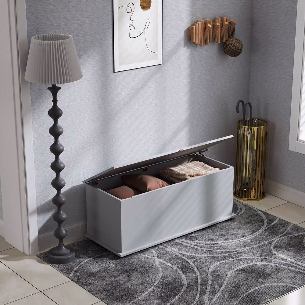 Wyld Haus Fito Vima Grey Particleboard Storage Trunk – 5