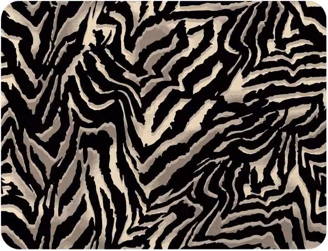 Benjamin Tate Design Gold and Sand Zebra Print Fleece Blanket, W/D/H: 120 x 150 cm – 2