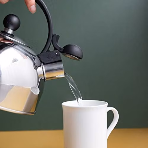 La Cafetiere Stainless Steel Whistling Kettle in Silver, W/D/H: 22.0 x 20.5 x 18.0 cm – 2