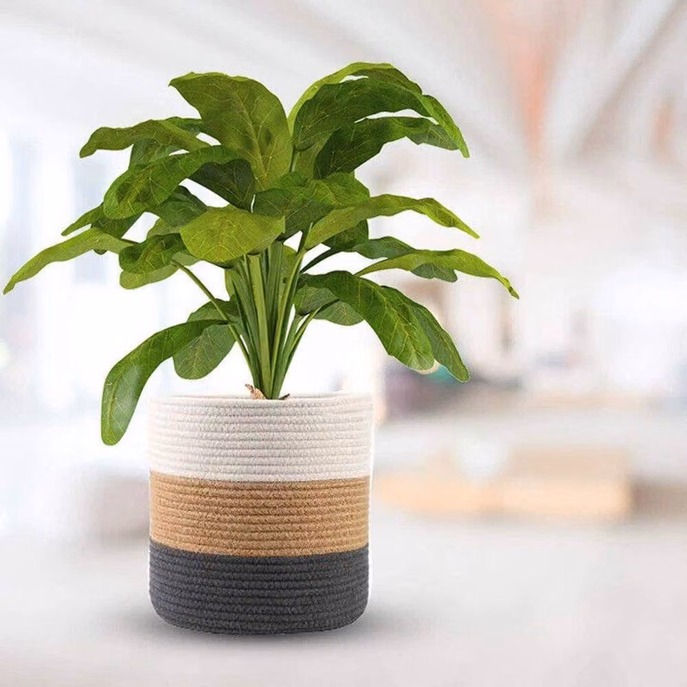 VOGREX Multicolour Woven Cotton Rope Storage Basket Organiser with Handles – 2
