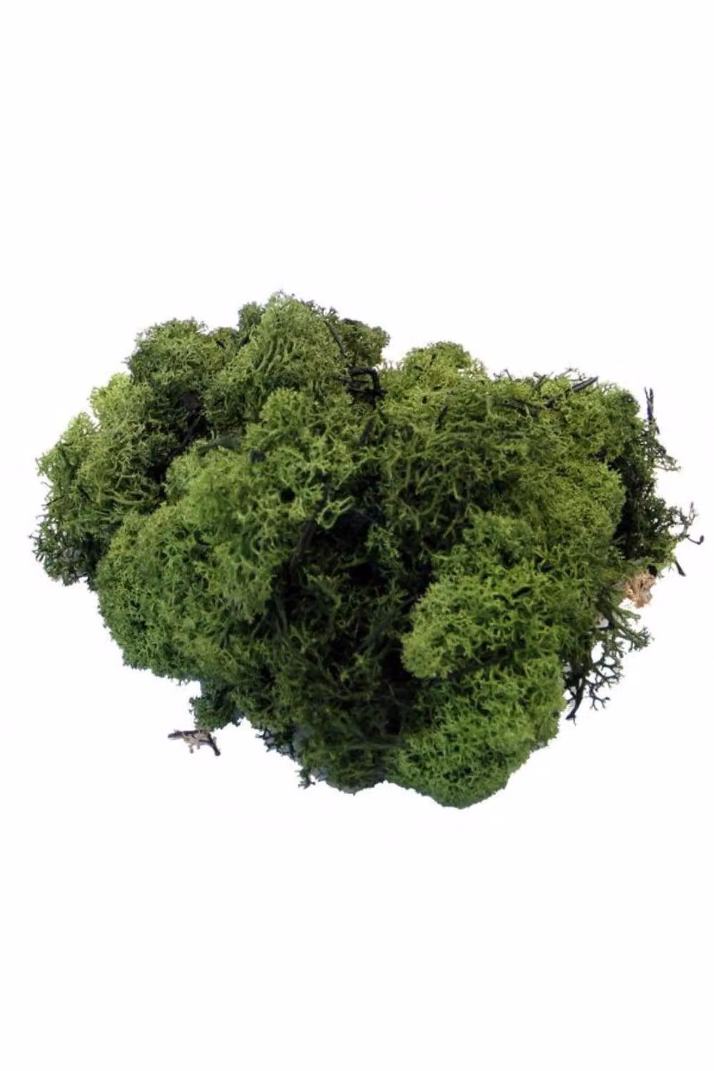 KDMD Dark Green Reindeer Moss Christmas Ornament Figure – 2
