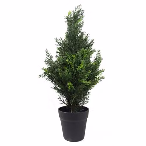 Leaf Artificial Green Cedar Cypress Conifer Tree