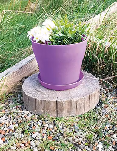 St Helens Purple Plastic Plant Pot W: 16 cm, H: 12.5 cm – 2
