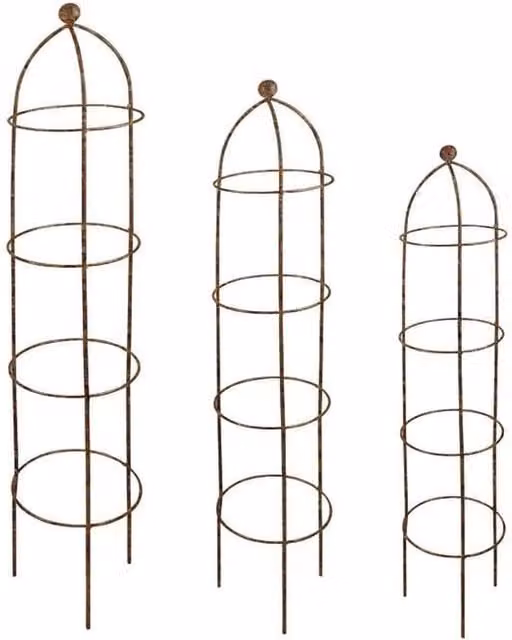 Garden Pride Rust Metal Growing Obelisk Support, W/D/H: 19 x 19 x 106 cm