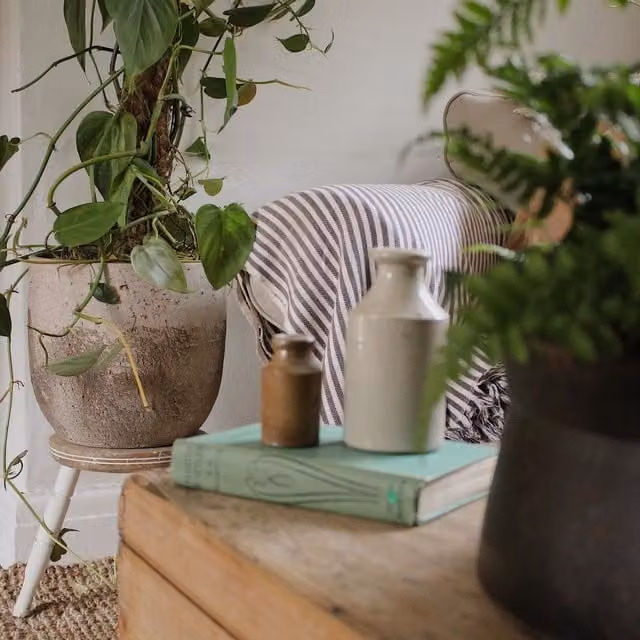 Ivyline Albero Ceramic Indoor Planter, Beige, H: 26 cm, D: 28 cm – 1
