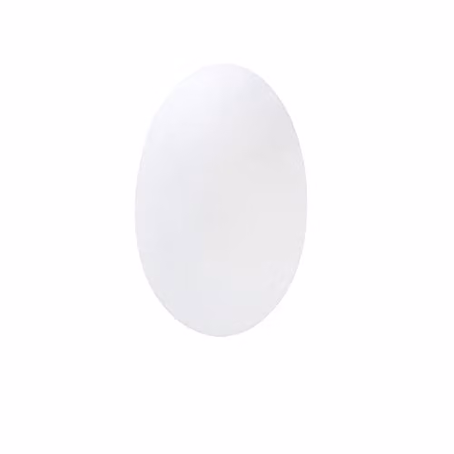 Netlighting FORLIGHT Glass Flush Wall Fixture, White, E27, 60W, 23.5 cm – 1