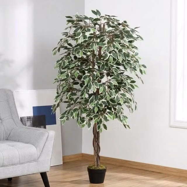 STILVORA Artificial Ficus Tree in Green, Height: 160 cm – 1