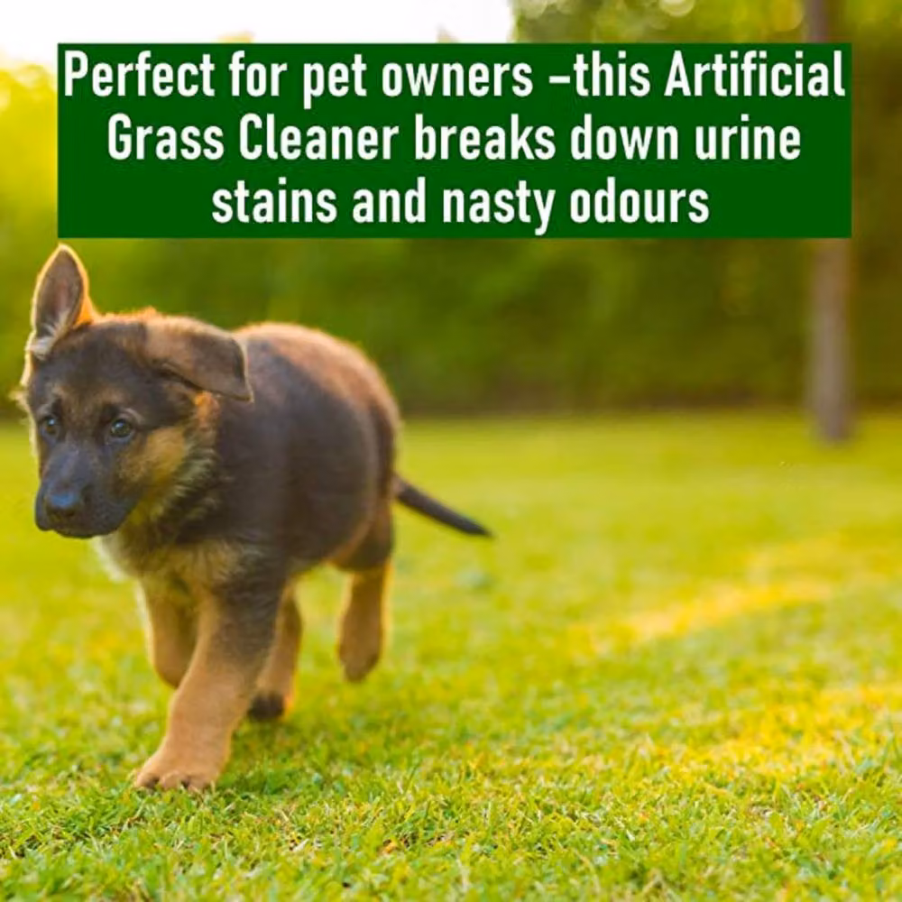 ProKleen Artificial Grass Cleaner, Fresh Cut Grass, 5l – 2