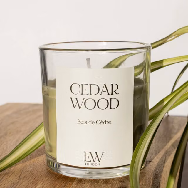 Marco Paul Green Cedar Wood Scented Candle in a Round Glass Jar