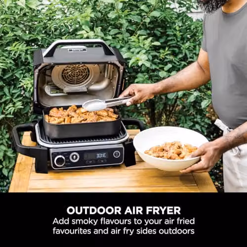 Ninja Woodfire Electric BBQ Grill and Smoker, Tabletop Hot Air Model, Grey and Black – 5