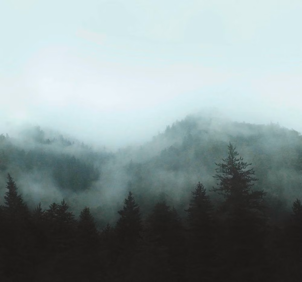 Superfresco Easy Misty Landscape Teal Print Mural in Blue, W: 300 cm, H: 280 cm – 2