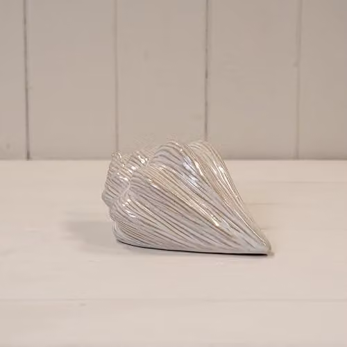 Gift Company White Glazed Ceramic Shell Ornament with Organic Abstract Detail W/D/H: 10.2 x 7.5 x 4.0 cm