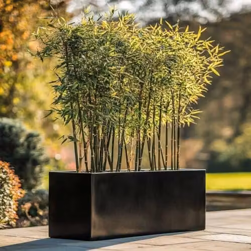 Tulipy Galvanised Steel Trough Planter, Black, W: 40 cm, D: 40 cm, H: 40 cm