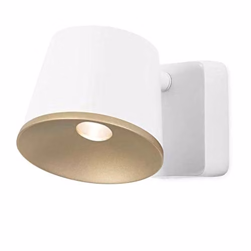 Netlighting Drone LED Dome Wall and Ceiling Light in White and Gold/Brass