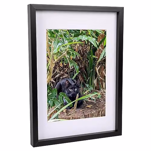 Nicola Spring Black Rectangular 3D Shadow Box Photo Frame with White A4 Mount