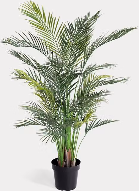 Blooming Artificial Green Areca Palm Outdoor Artificial Tree, Height: 137.16 cm