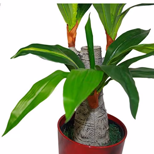 Leaf Design UK Artificial Dracaena Tabletop Plant in Black Pot, Green – 2