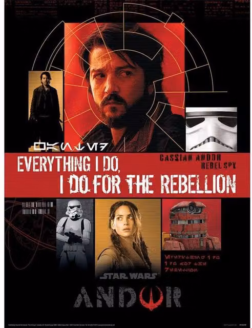 Disney For The Rebellion Multicolour Paper Poster