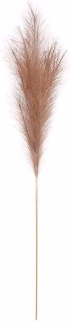 KDMD Luxury Beige Artificial Pampas Grass for Boho Wedding Decor