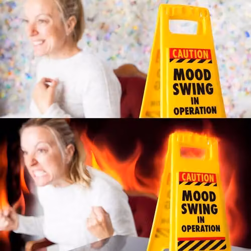 Boxer Mood Swing Novelty Warning Sign Tabletop Gift, Yellow – 2