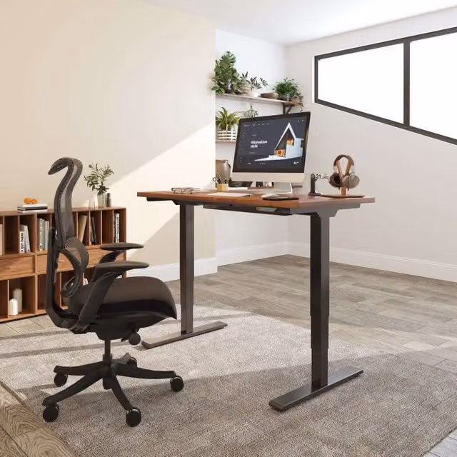 FlexiSpot E5 Electric Height Adjustable Standing Desk for Home Office in Black