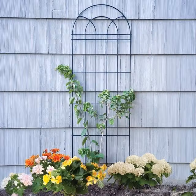 Primrose Black Powder Coated Steel Metal Garden Trellis Support