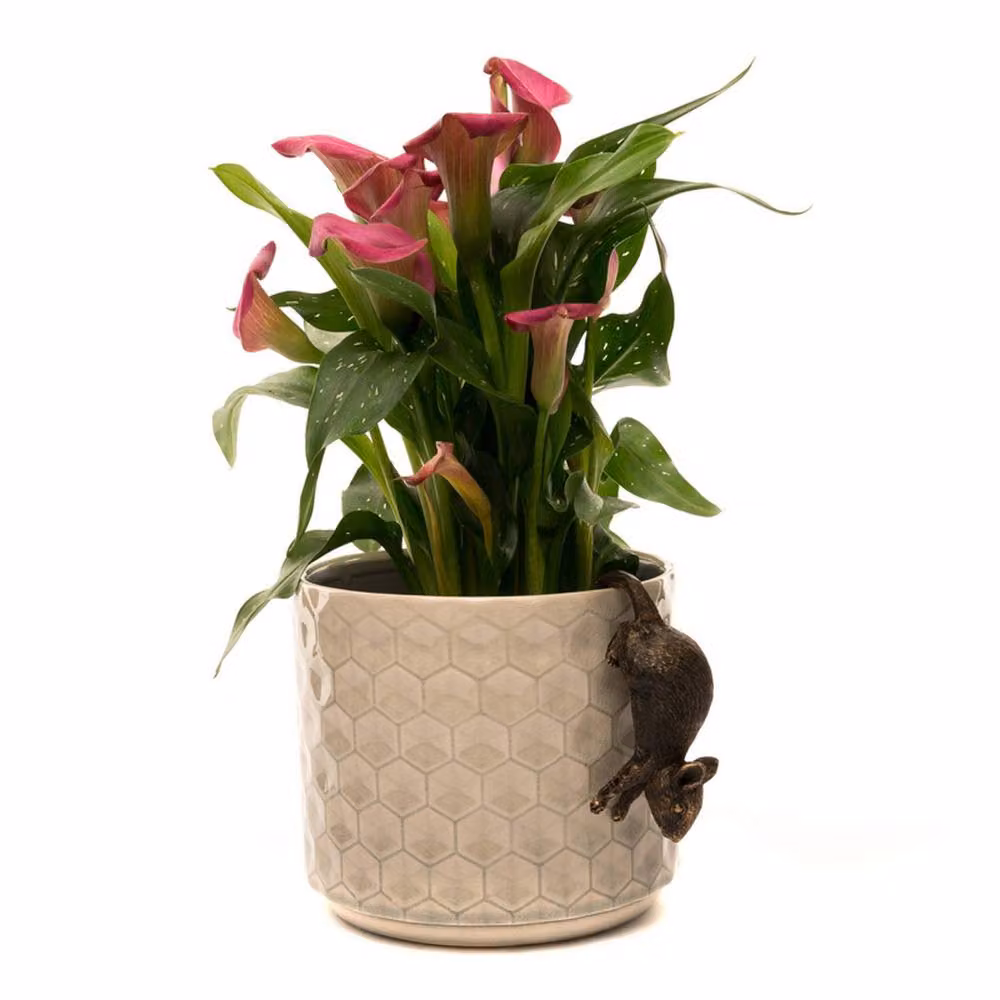 Jardinopia Antique Bronze Mouse Pot Buddy Hanging Plant Pot Hanger – 6