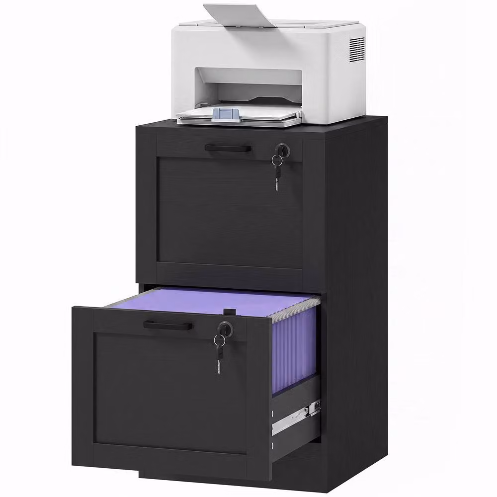 Rolipo Modern 2-Drawer Lockable Filing Cabinet in Black – 2