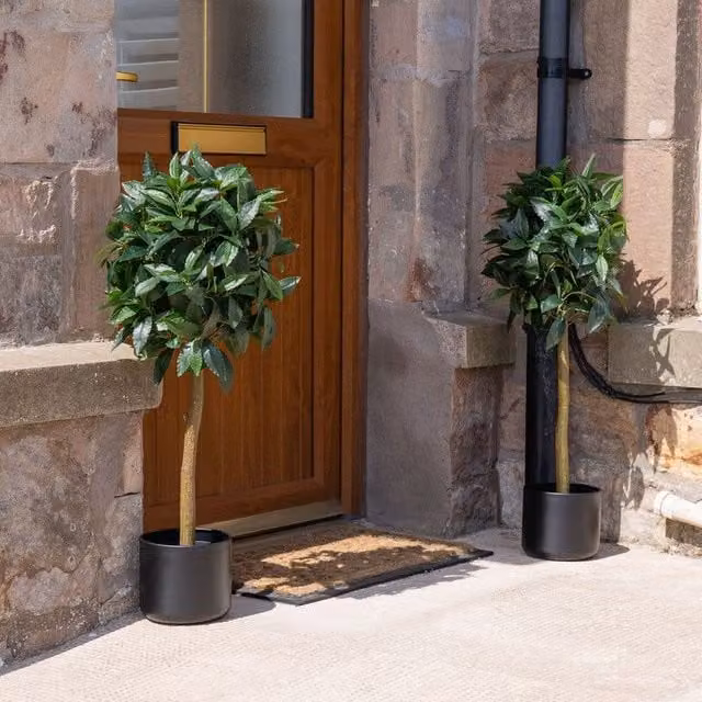 Scottish Everlastings Ltd Set of 2 Green Bay Trees in Black Pots, Height: 90 cm – 1