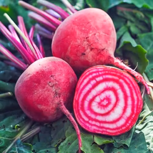 Thompson and Morgan Beetroot Chioggia Seeds, Kew Vegetable Collection, Candy-Striped Heirloom Variety, 50 Seeds