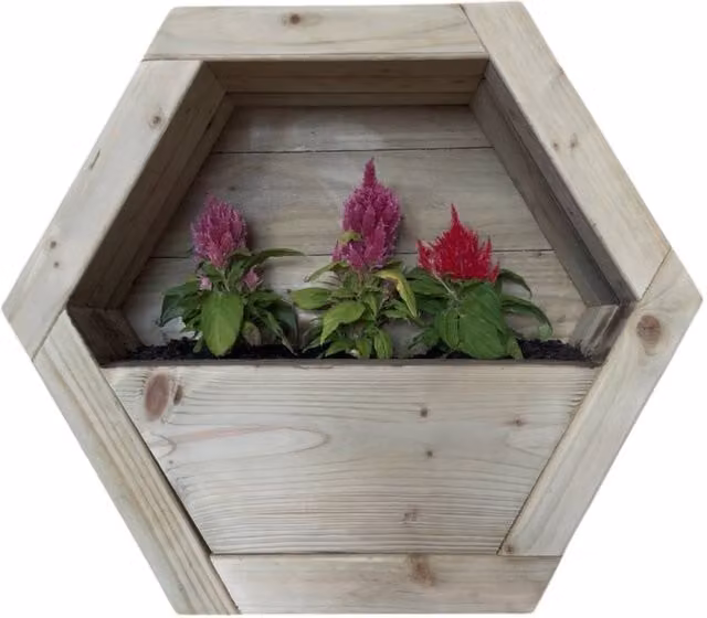Buttercup Farm Medium Hanging Wooden Hexagon Wall Planter in Brown, W: 44 cm, D: 16 cm, H: 38 cm – 1