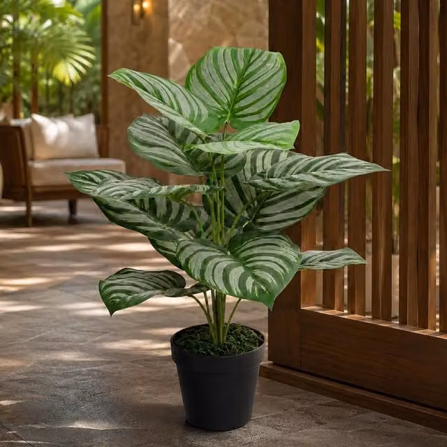 Leaf Design UK Realistic Striped Green and Black Artificial Potted Plant, Height: 60 cm – 2