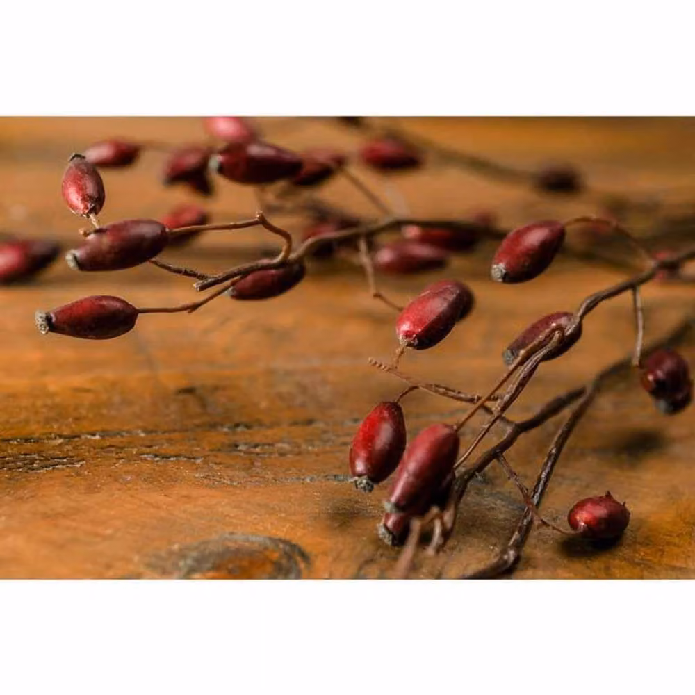 Lemon Pavilion Burgundy Rosehip Stem Artificial Plant, Red, W: 17 cm, D: 17 cm, H: 108 cm – 3