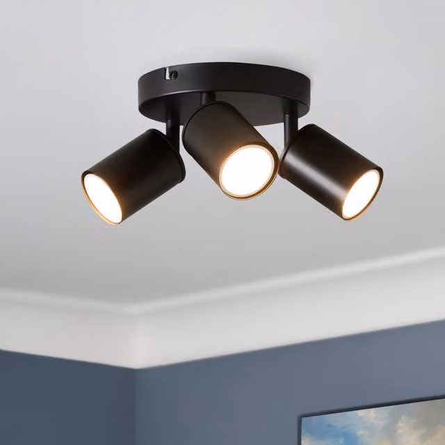 Litecraft Tanner Adjustable Cylinder Ceiling Spotlight Plate in Black