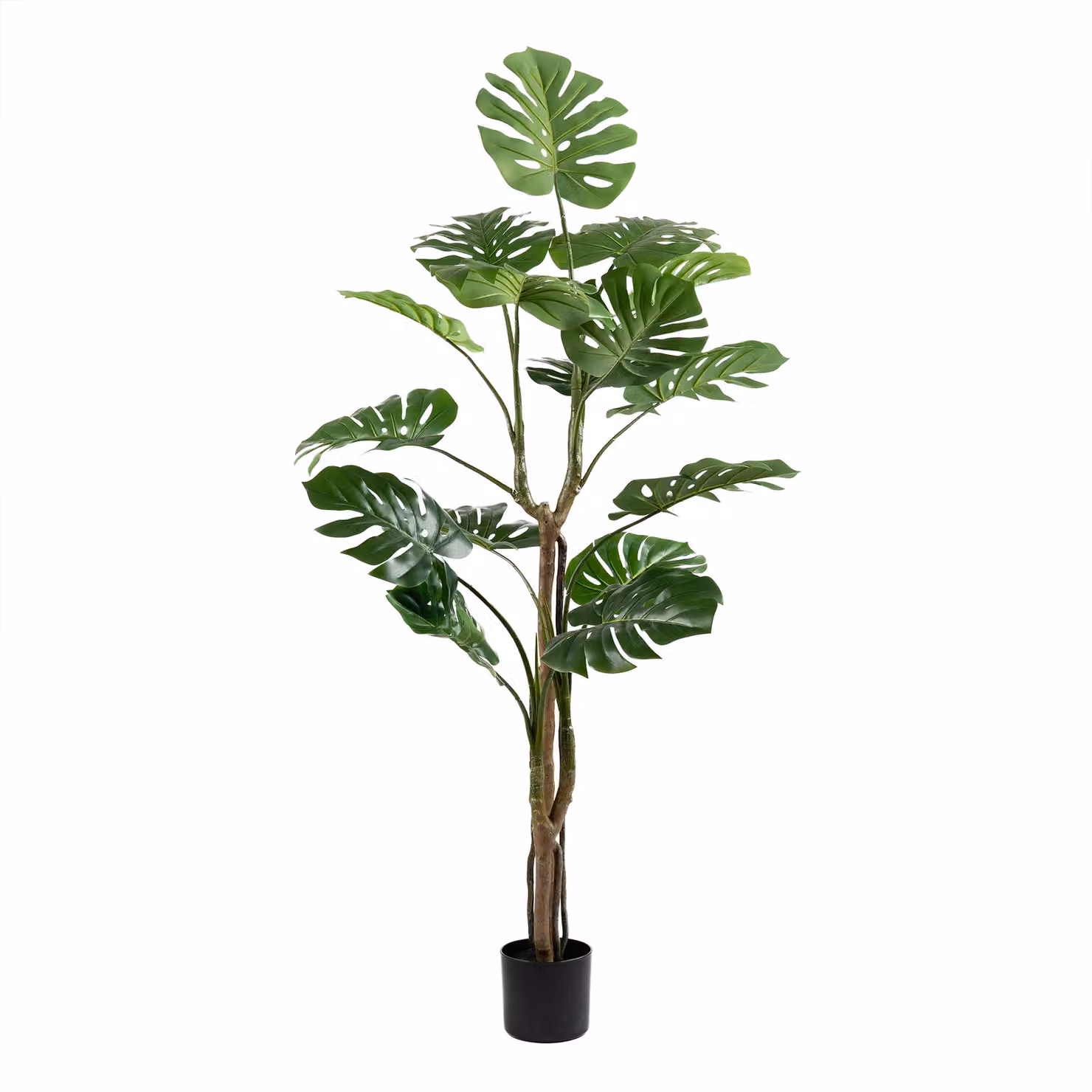 Scottish Everlastings Ltd 160cm Real Touch Monstera in Green and Black – 2
