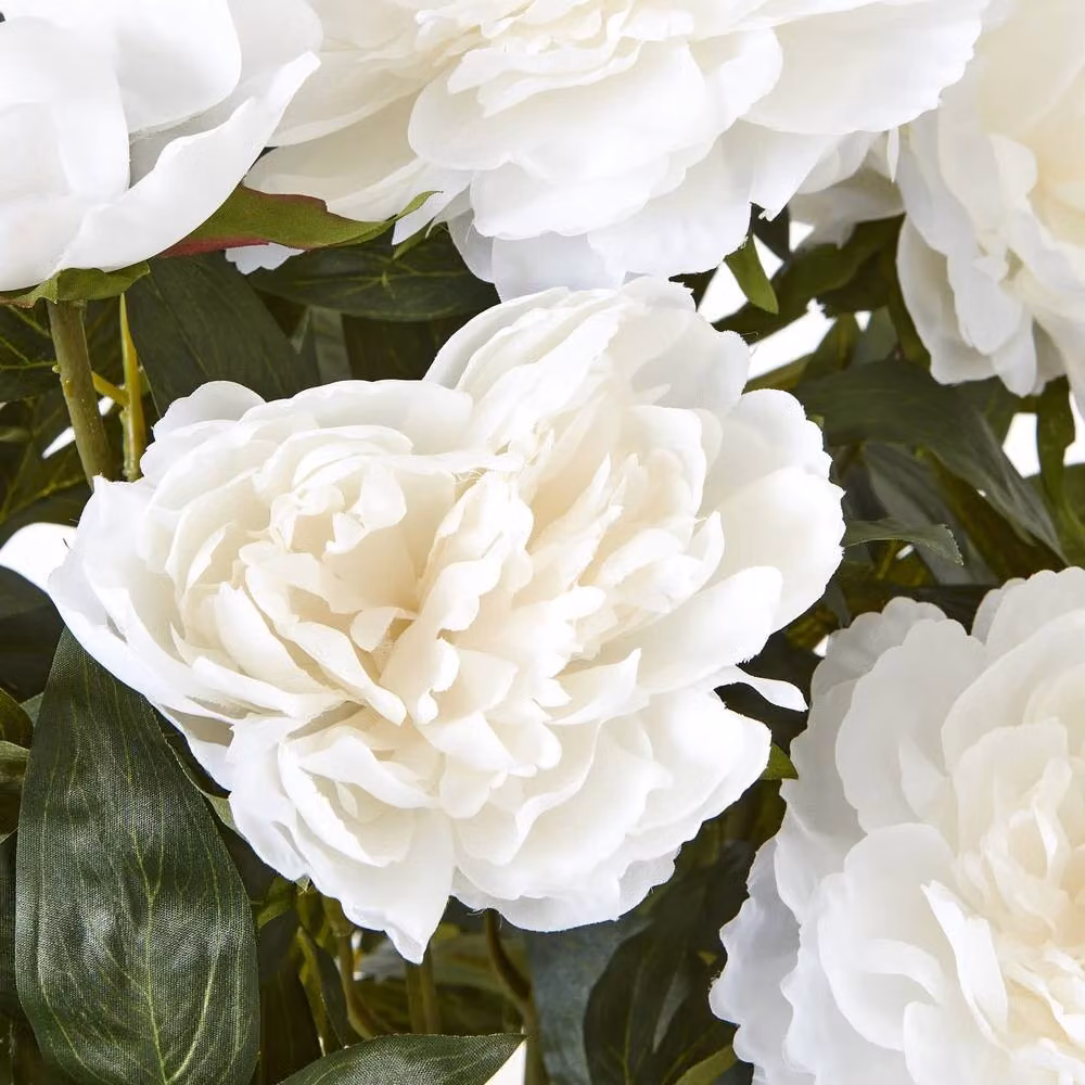 Wyld Haus Large White Peony Artificial Plant in a White Ceramic Pot, H 71 cm x W 46 cm x D 46 cm – 2