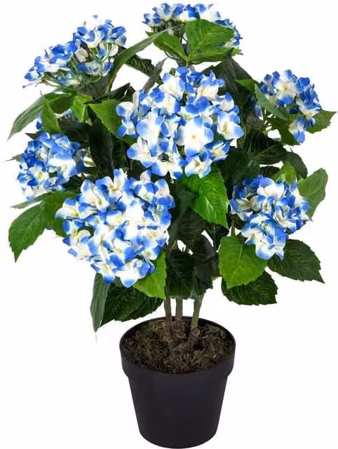 Homescapes Artificial Blue Hydrangea Potted Plant, Height: 70 cm