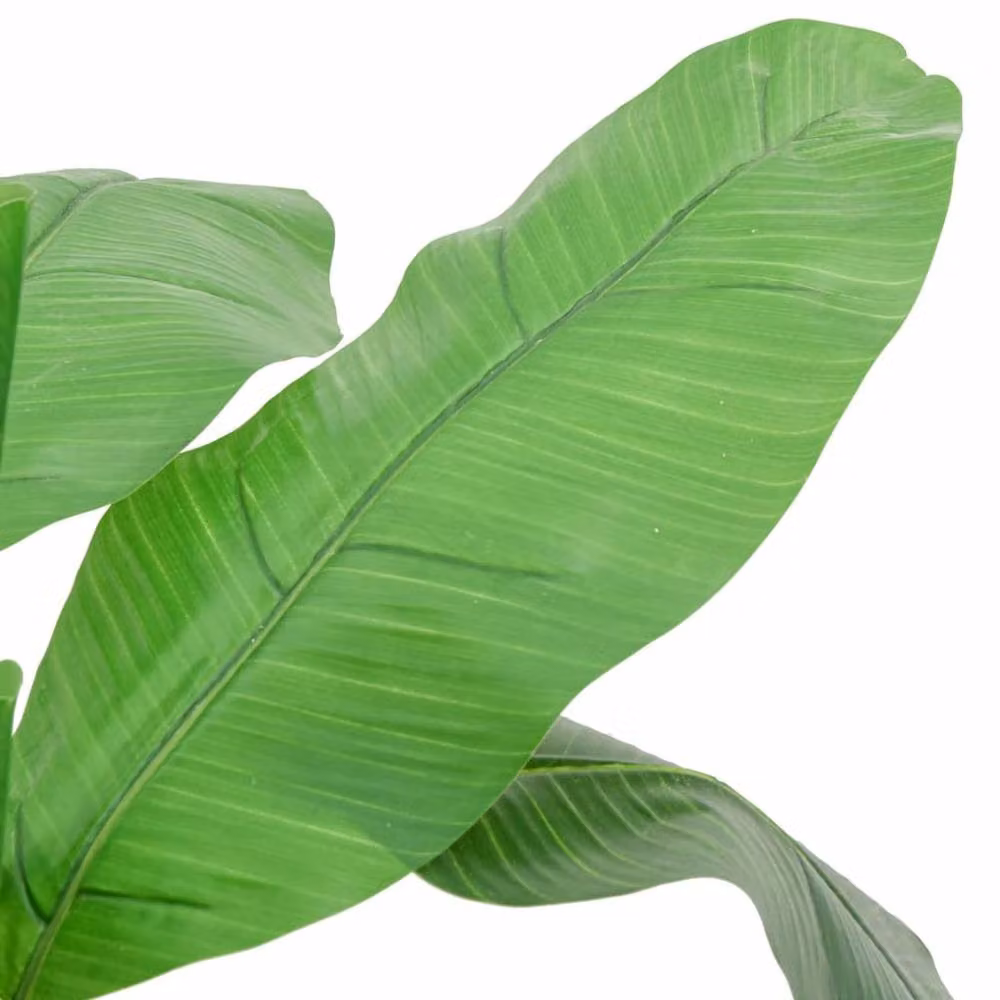 Berkfield Home Realistic Artificial Banana Tree with 9 Leaves, Green, Height: 120 cm – 3