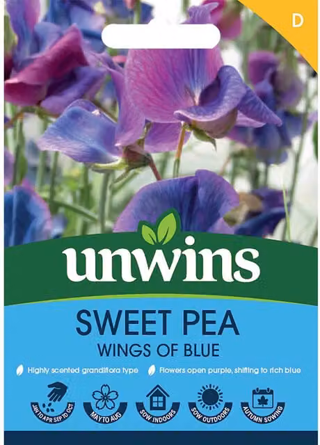 Unwins Sweet Pea Wings of Blue Fragrant Lavender-Blue Climbing Annual Flower Seeds, 1 g (15 seeds)