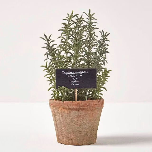 Homescapes Artificial Thyme Plant in a Green Ceramic Decorative Pot